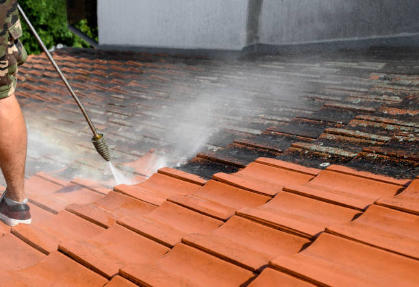 Best Residential Pressure Washing Services  in Angels, CA